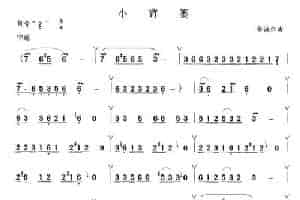 小背篓 笛箫乐谱