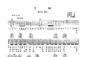 情网（刘虞瑞词 伍思凯曲） 吉他乐谱