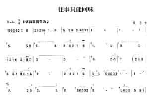 往事只能回味 笛箫乐谱