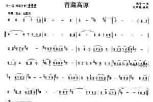 青藏高原 笛箫乐谱