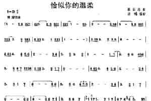 恰似你的温柔 笛箫乐谱