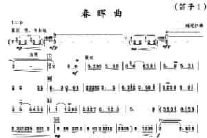 春晖曲（竹笛） 笛箫乐谱