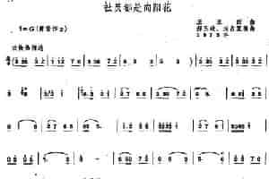 社员都是向阳花（郝玉歧 刘占宽编曲版、唢呐谱） 乐器谱