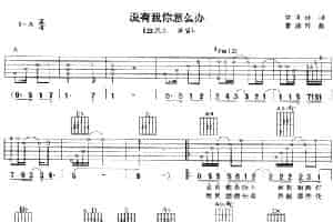 如果你是爱上我的沧桑 吉他乐谱