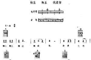梅兰 梅兰 我爱你（电子琴吉他弹唱） 电子琴乐谱
