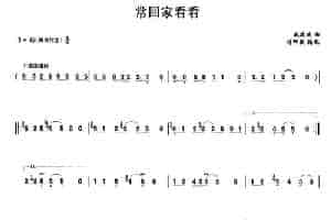 常回家看看 笛箫乐谱