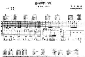 爱我你怕了吗 吉他乐谱