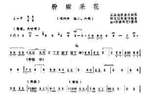 粉蝶采花（唢呐、轻三六调） 乐器谱
