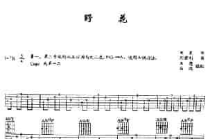 野花（田震词 刘利君曲、王鹰 马鸿编配版） 吉他乐谱