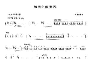 帕米尔的春天（刘富荣编曲版） 笛箫乐谱