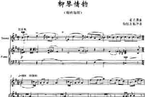 柳琴情韵（唢呐独奏） 乐器谱