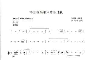 不让我的眼泪陪你过夜 笛箫乐谱