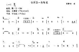 你好象一朵鲜花 电子琴乐谱