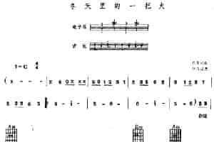 冬天里的一把火（电子琴吉他弹唱） 电子琴乐谱
