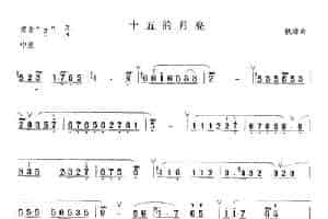 十五的月亮 笛箫乐谱