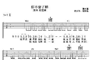 你不会了解 吉他乐谱