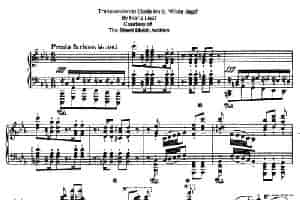 12 Etudes d'execution Transcendante S.139（12首超技练习曲·8） 钢琴乐谱