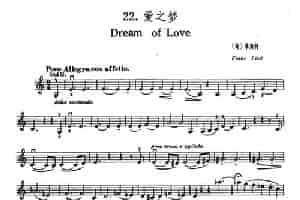 Dream of Love（爱之梦） 提琴乐谱