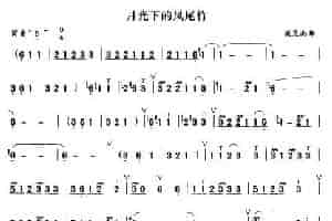 月光下的凤尾竹 笛箫乐谱