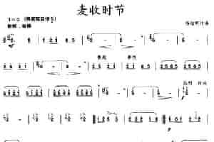 麦收时节（杨洁明作曲版） 笛箫乐谱