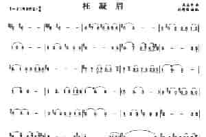 枉凝眉 笛箫乐谱