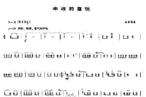 丰收的喜悦（唢呐谱） 乐器谱