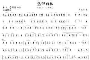 热带雨林 笛箫乐谱