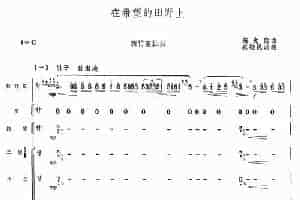 在希望的田野上（新竹笛+乐队伴奏） 笛箫乐谱