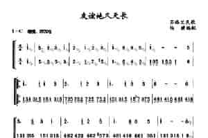 友谊地久天长 扬琴乐谱