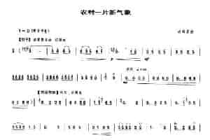 农村一片新气象（唢呐谱） 乐器谱