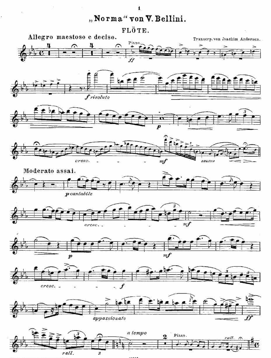 Opern-Transcriptionen.Op.45-2（长笛+钢琴伴奏） 长笛乐谱_第11张