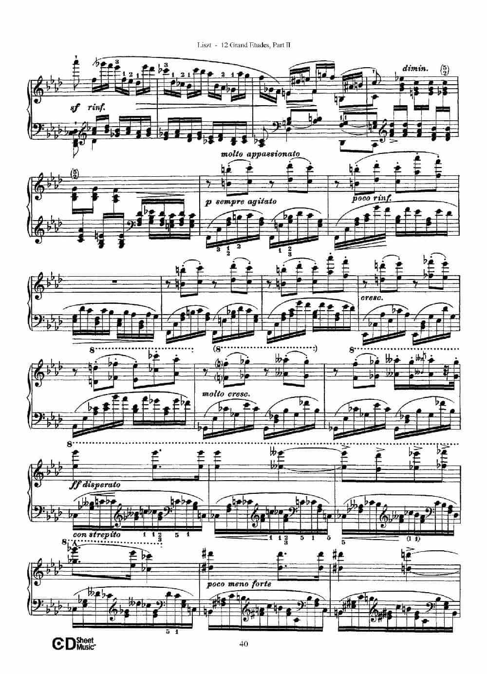12 Grand Etudes S.137（12首华丽的练习曲·10） 钢琴乐谱_第2张