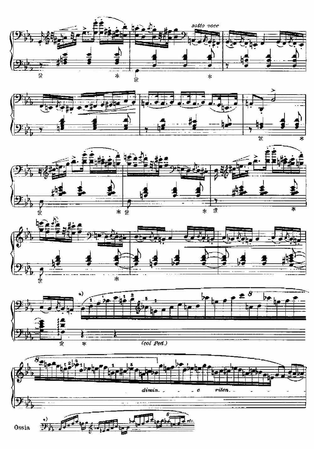 Two Polonaises S.223（2首波洛奈兹舞曲·c小调） 钢琴乐谱_第4张