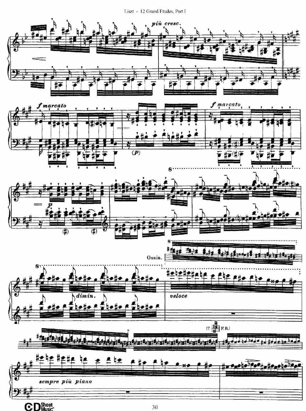 12 Grand Etudes S.137（12首华丽的练习曲·5） 钢琴乐谱_第6张