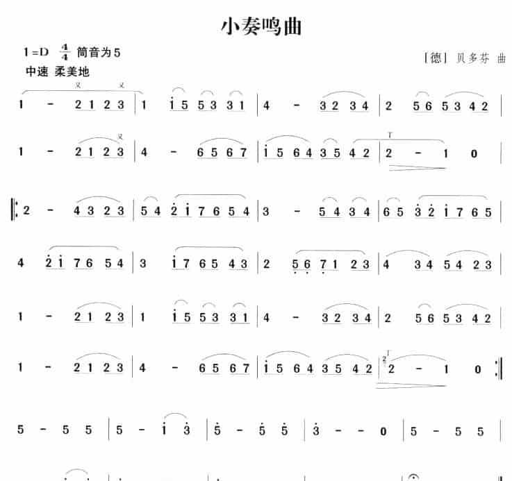 小奏鸣曲（贝多芬作曲版） 笛箫乐谱_第1张