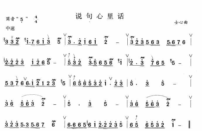 说句心里话 笛箫乐谱_第1张