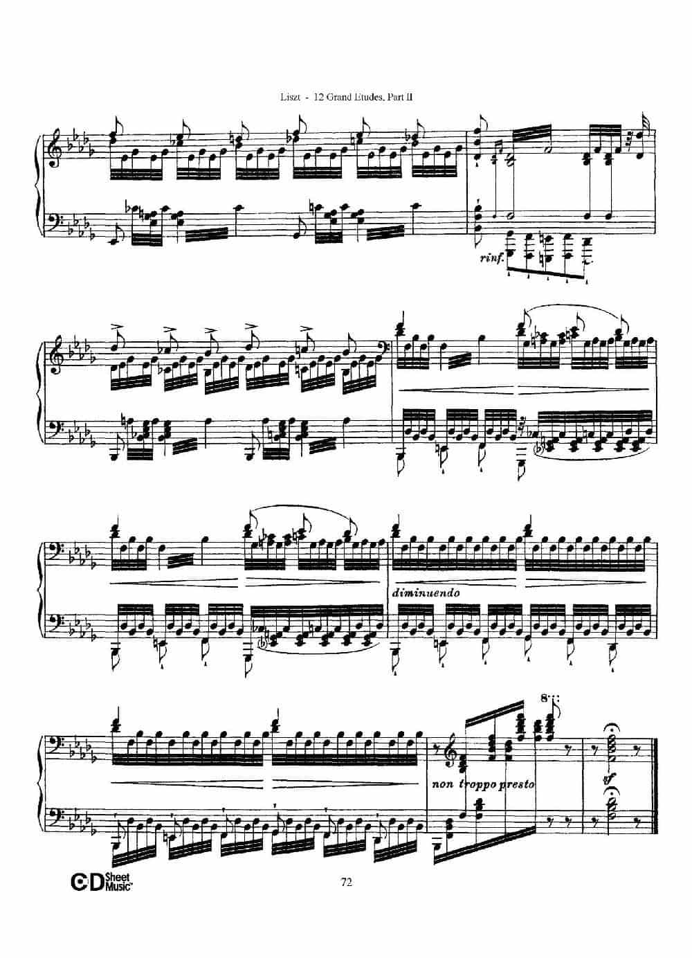 12 Grand Etudes S.137（12首华丽的练习曲·12） 钢琴乐谱_第11张
