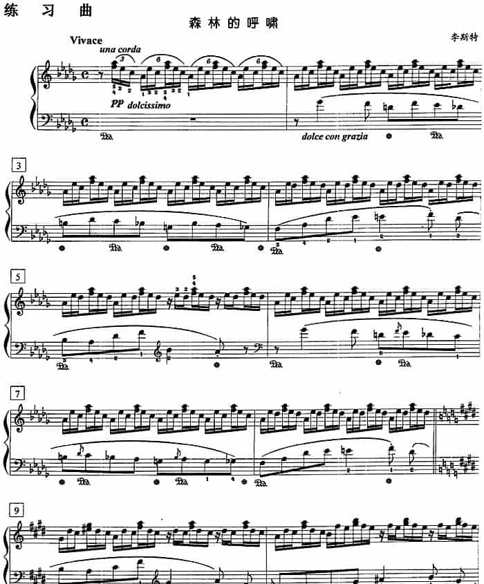钢琴教程第八级 练习曲（森林的呼啸） 钢琴乐谱_第1张