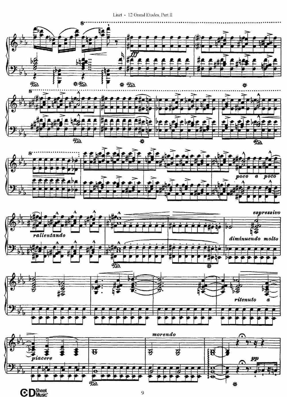 12 Grand Etudes S.137（12首华丽的练习曲·7） 钢琴乐谱_第9张