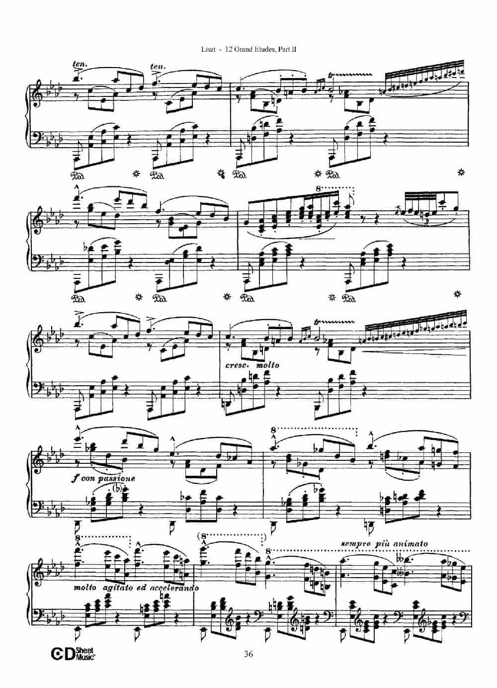 12 Grand Etudes S.137（12首华丽的练习曲·9） 钢琴乐谱_第9张