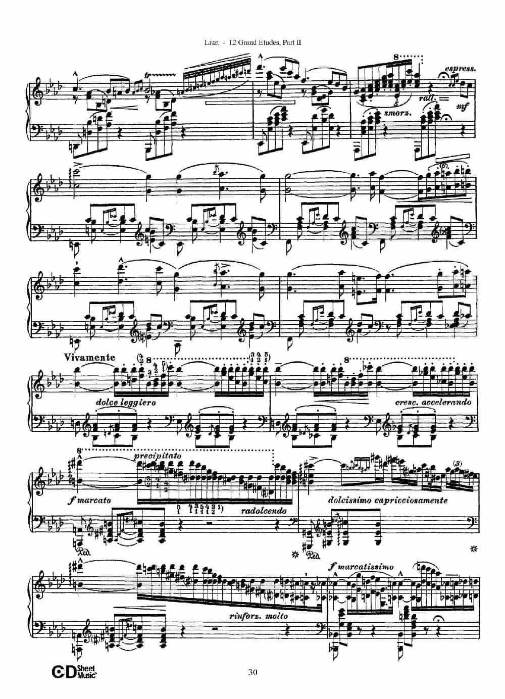 12 Grand Etudes S.137（12首华丽的练习曲·9） 钢琴乐谱_第3张