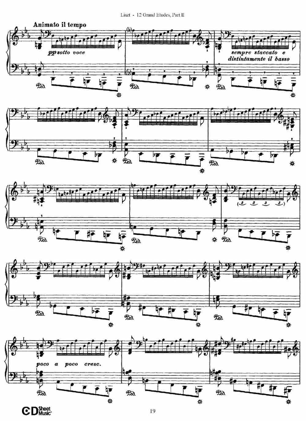 12 Grand Etudes S.137（12首华丽的练习曲·8） 钢琴乐谱_第9张