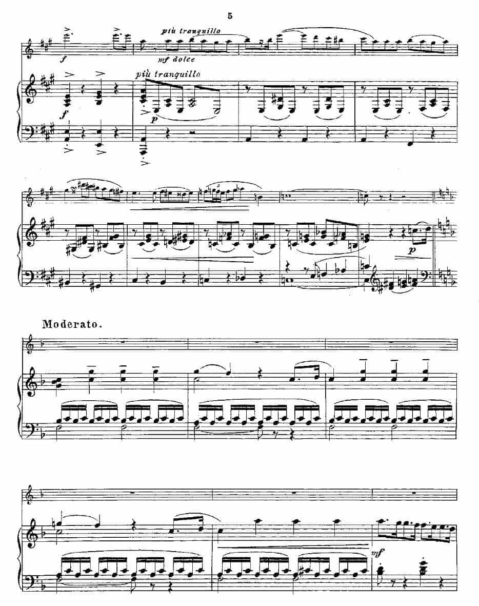 Opern-Transcriptionen.Op.45-3（长笛+钢琴伴奏） 长笛乐谱_第5张