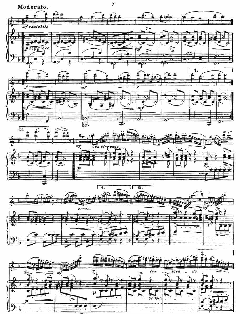 Fantaisies nationales. Op. 59, 5.（长笛+钢琴伴奏） 长笛乐谱_第6张