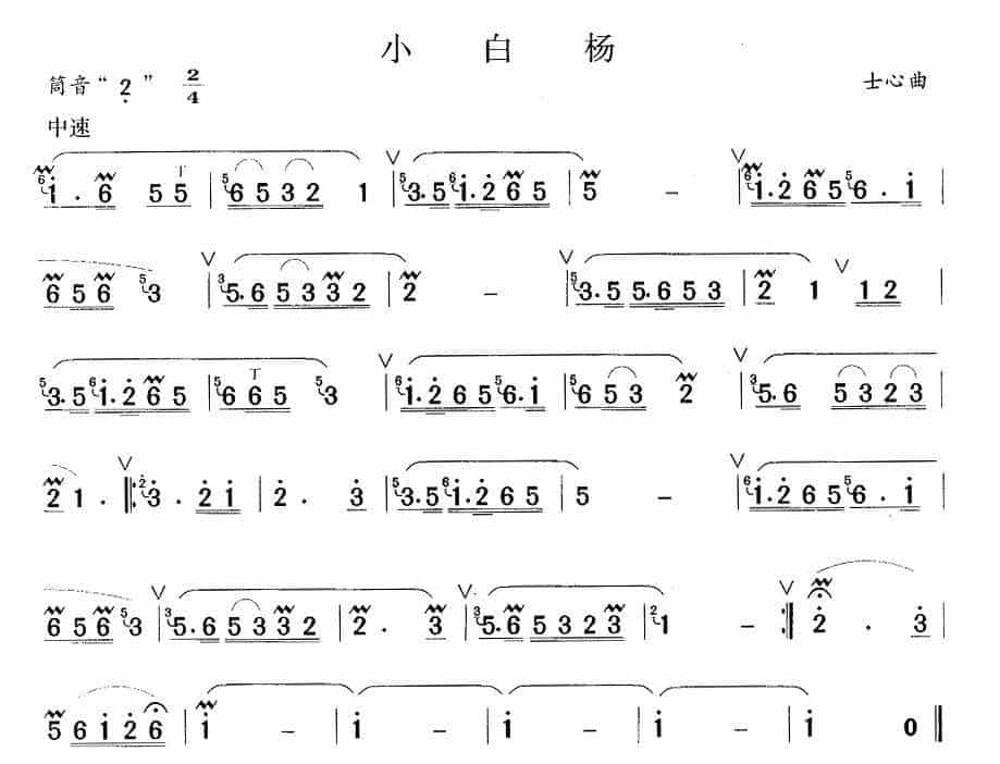 小白杨 笛箫乐谱_第1张