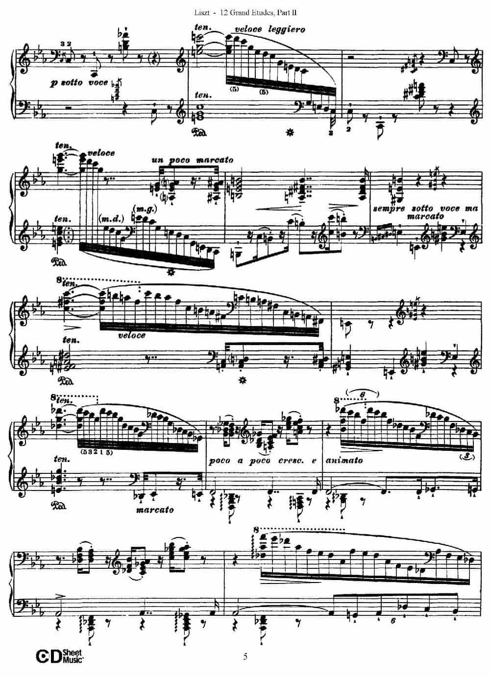 12 Grand Etudes S.137（12首华丽的练习曲·7） 钢琴乐谱_第5张