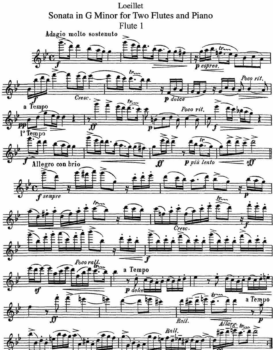 罗埃莱特G小调双长笛与钢琴奏鸣曲 长笛乐谱_第1张