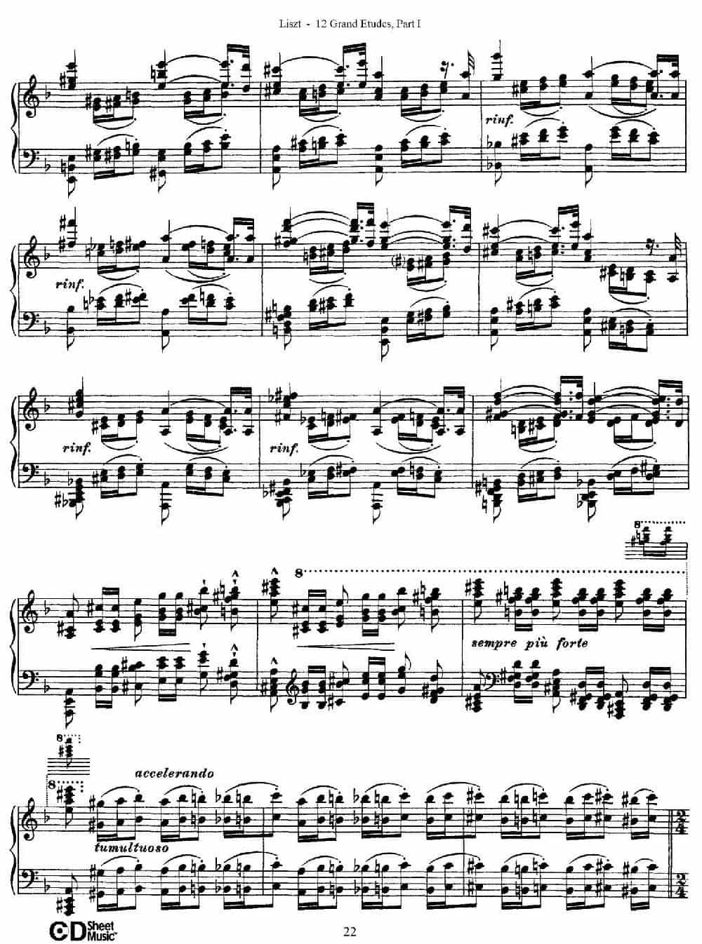 12 Grand Etudes S.137（12首华丽的练习曲·4） 钢琴乐谱_第10张