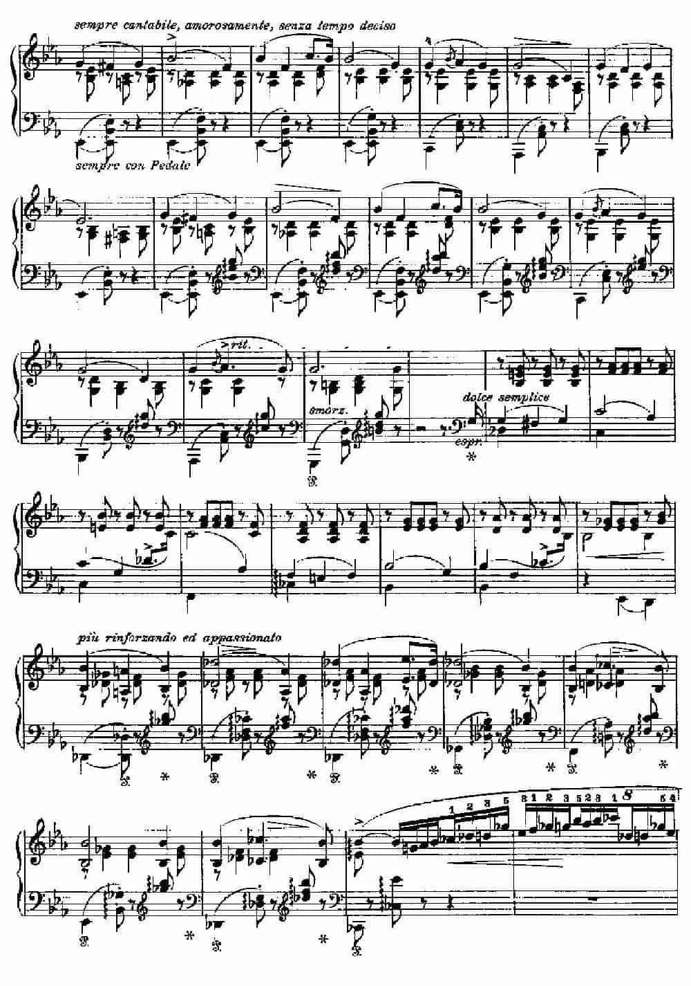 Two Polonaises S.223（2首波洛奈兹舞曲·c小调） 钢琴乐谱_第5张