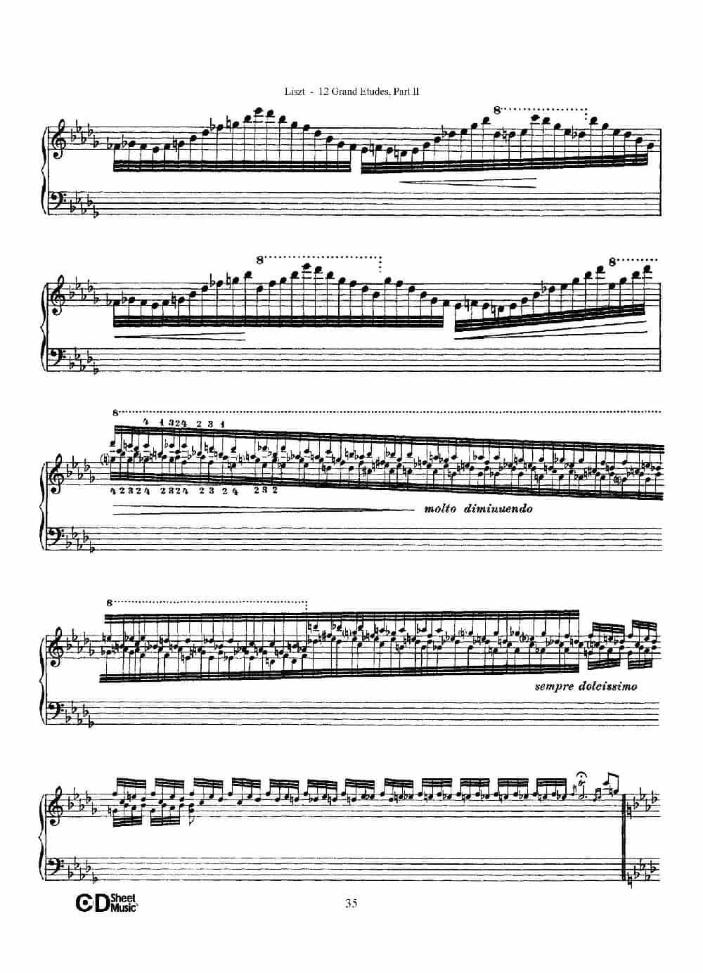 12 Grand Etudes S.137（12首华丽的练习曲·9） 钢琴乐谱_第8张